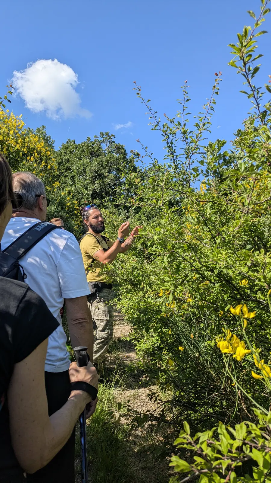 Foto escursione 14 — Il Brigante del Cammino