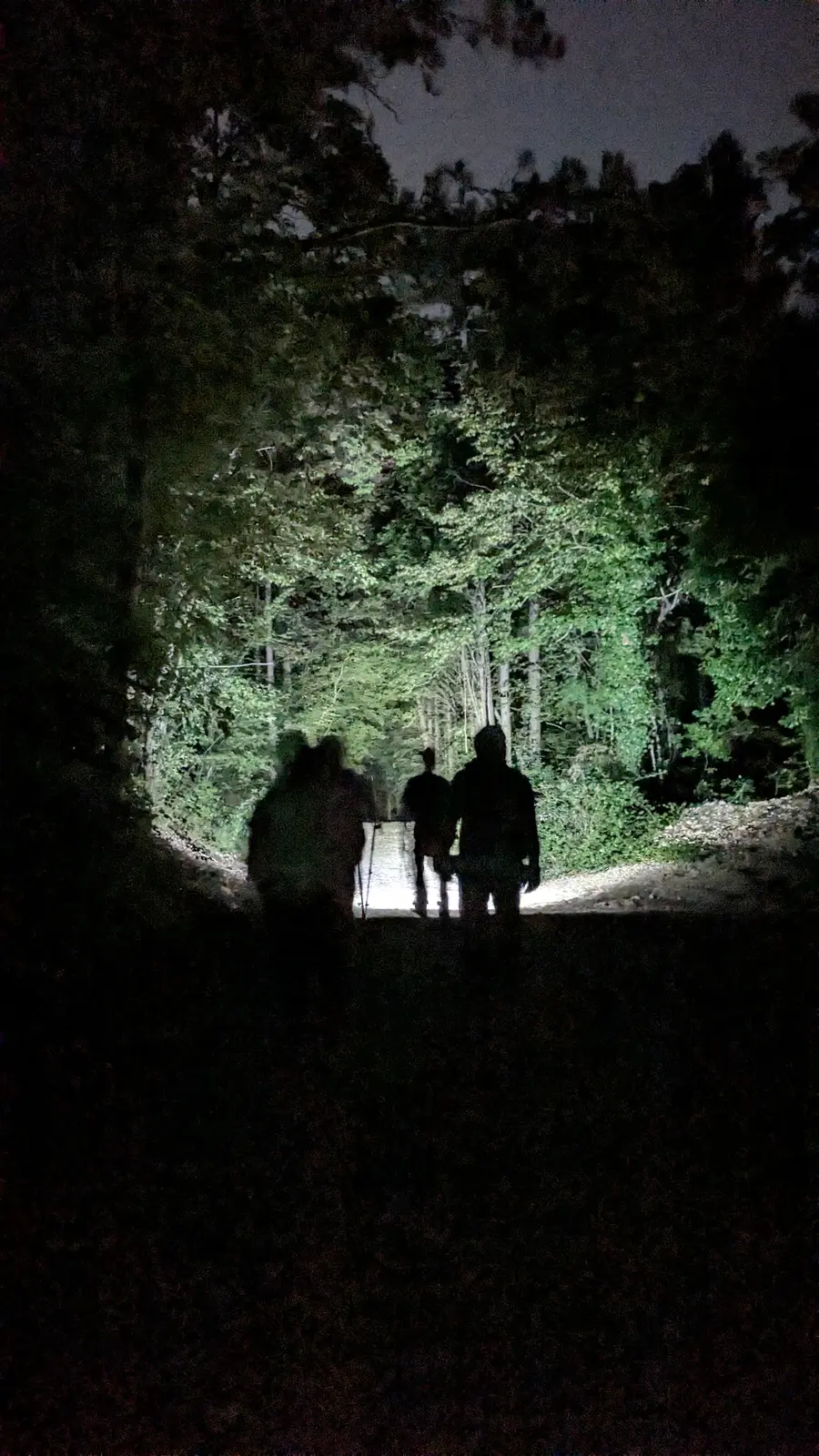 Foto escursione 24 — Il Brigante del Cammino
